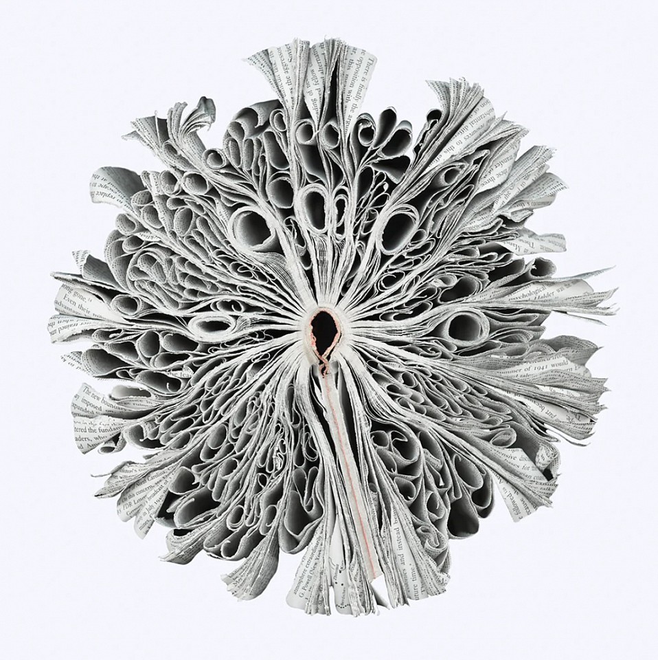 Cara Barer, History
Archival pigment print on paper, Sizes vary