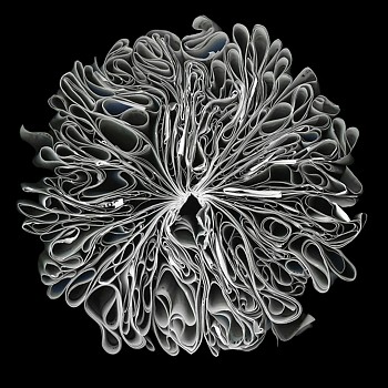 Cara Barer -&nbsp;Orb Sizes vary